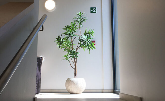 09_Eupener_Wiesen