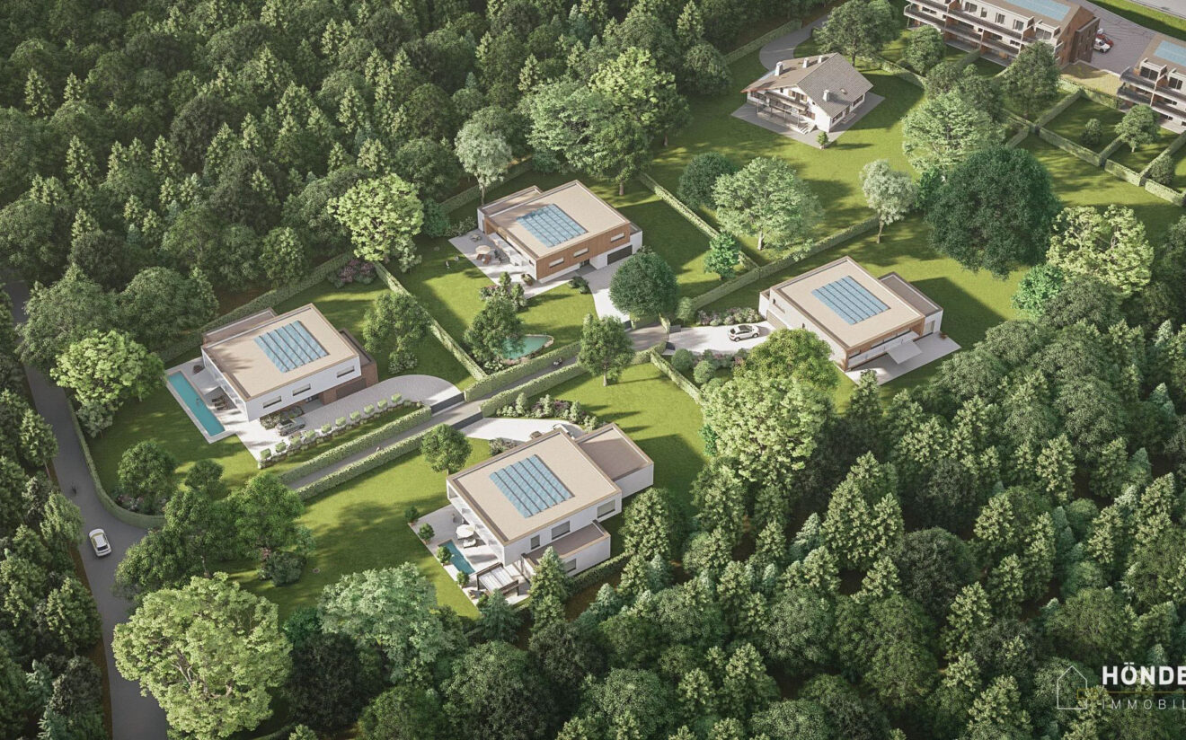 Hönder-Grossenbusch-10_lowdef